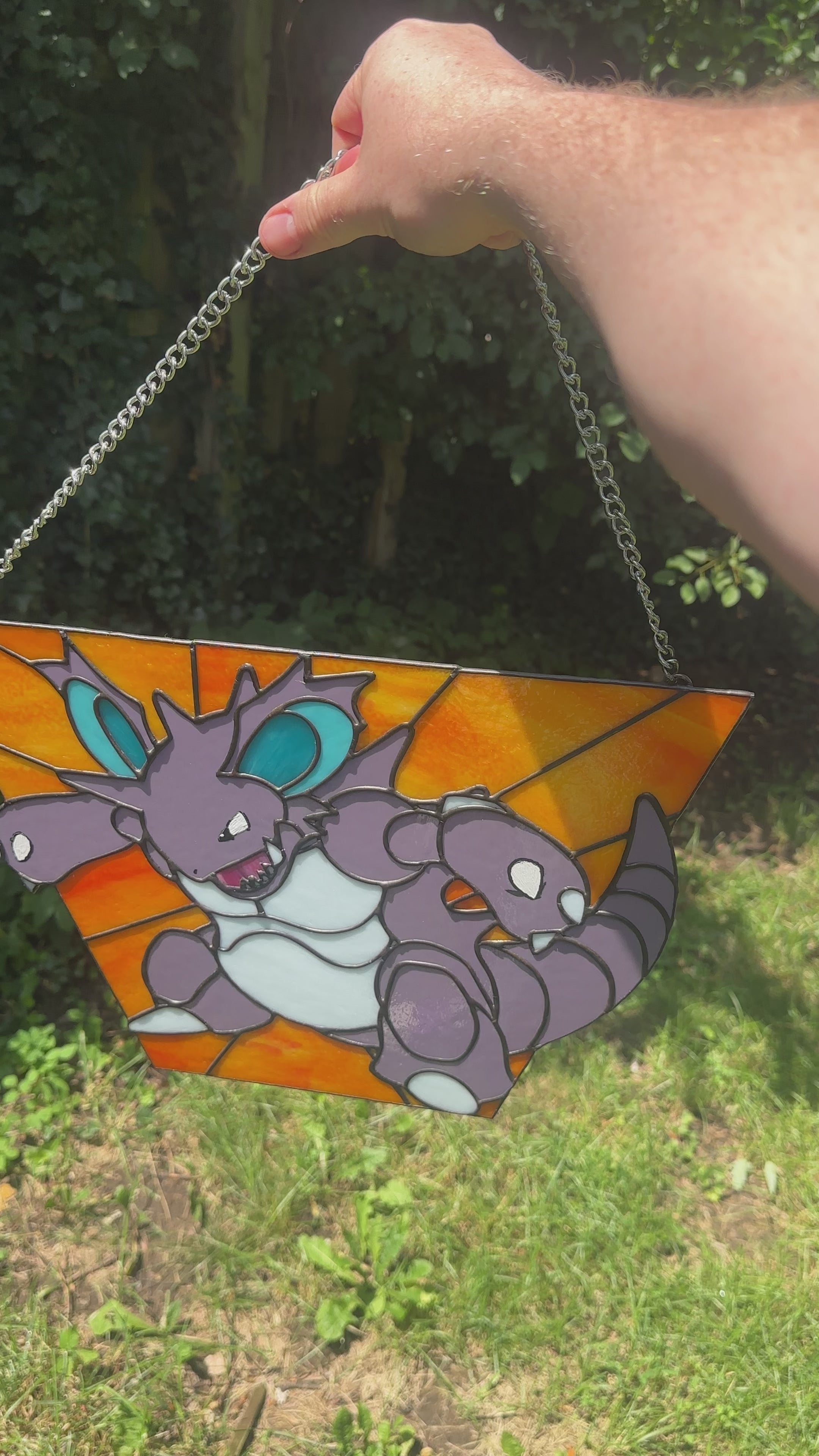 Nidoking video
